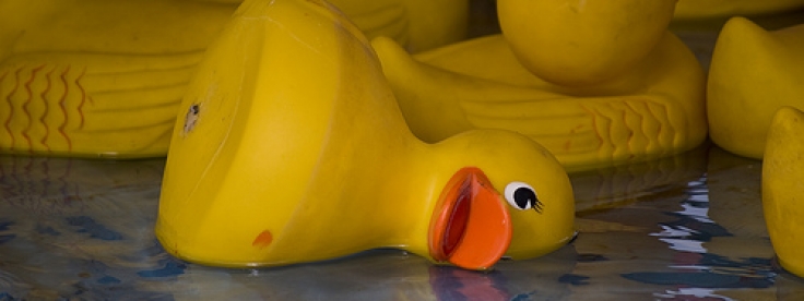 dead rubber duck